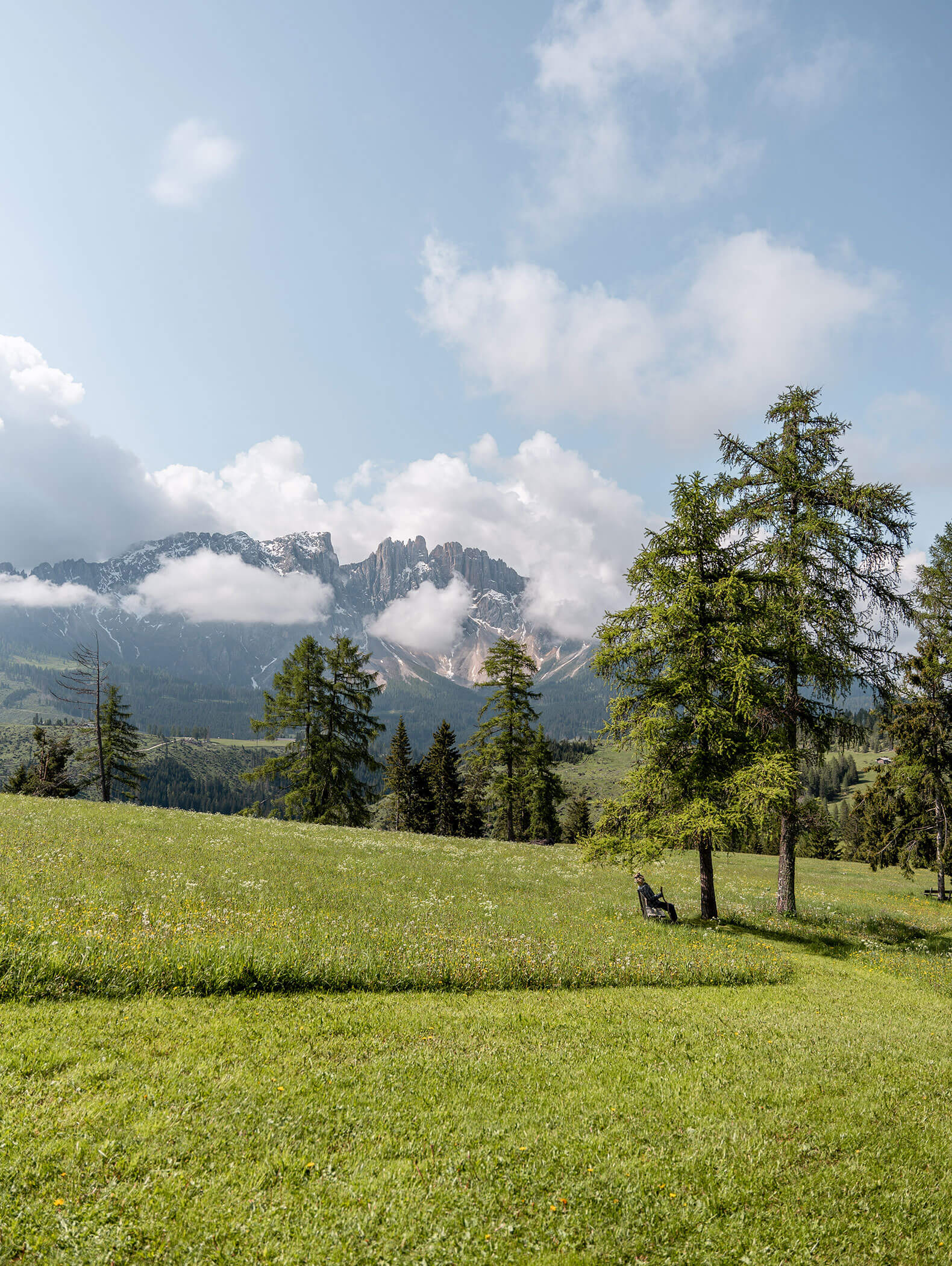 Prati e boschi verdi in estate, con alle spalle le cime delle Dolomiti - Vitalhotel Erica