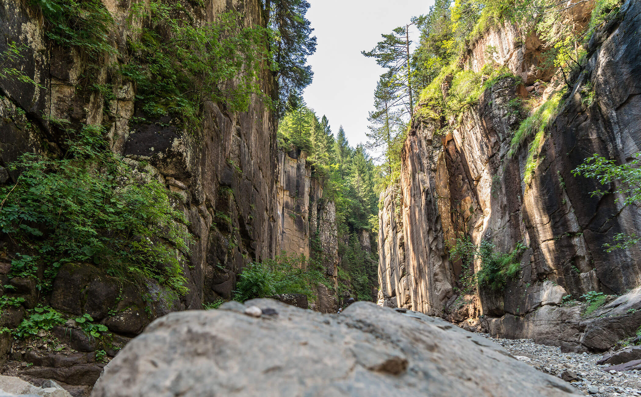 Vista sulle rocce e sugli alberi della gola del Bletterbach - Vitalhotel Erica