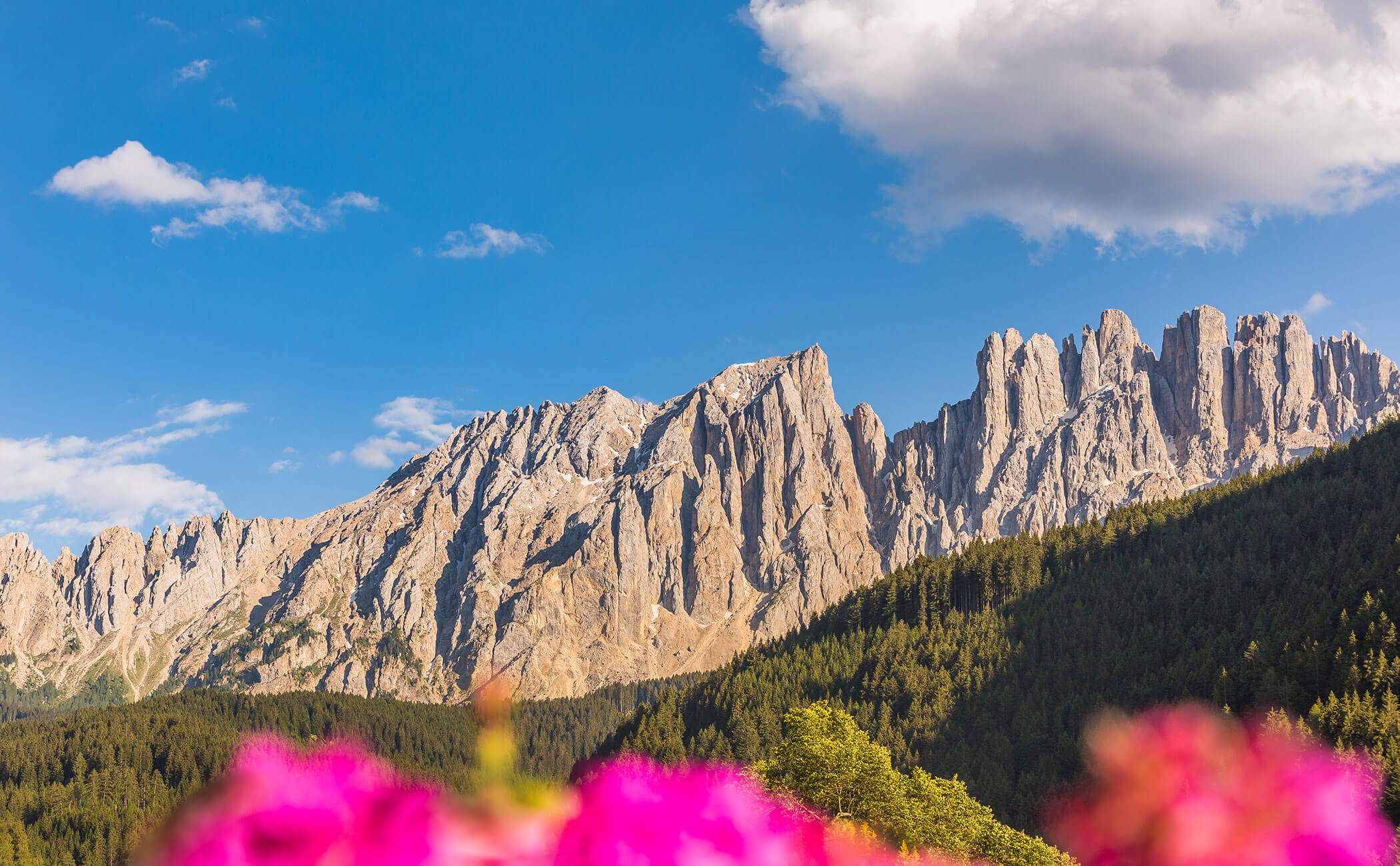 Vista sulle Dolomiti e sul Latemar in estate - Vitalhotel Erica