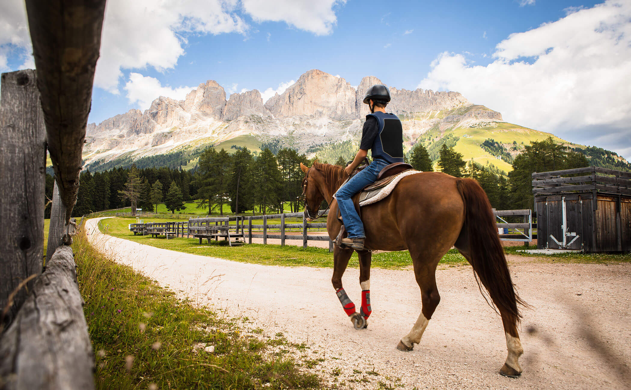 Un cavaliere con un cavallo su un sentiero ghiaioso nelle Dolomiti - Vitalhotel Erica