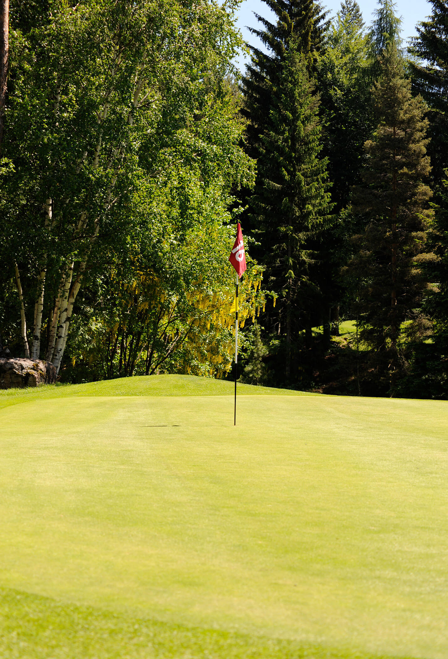 Un campo da golf ben curato e circondato da alberi in estate - Vitalhotel Erica