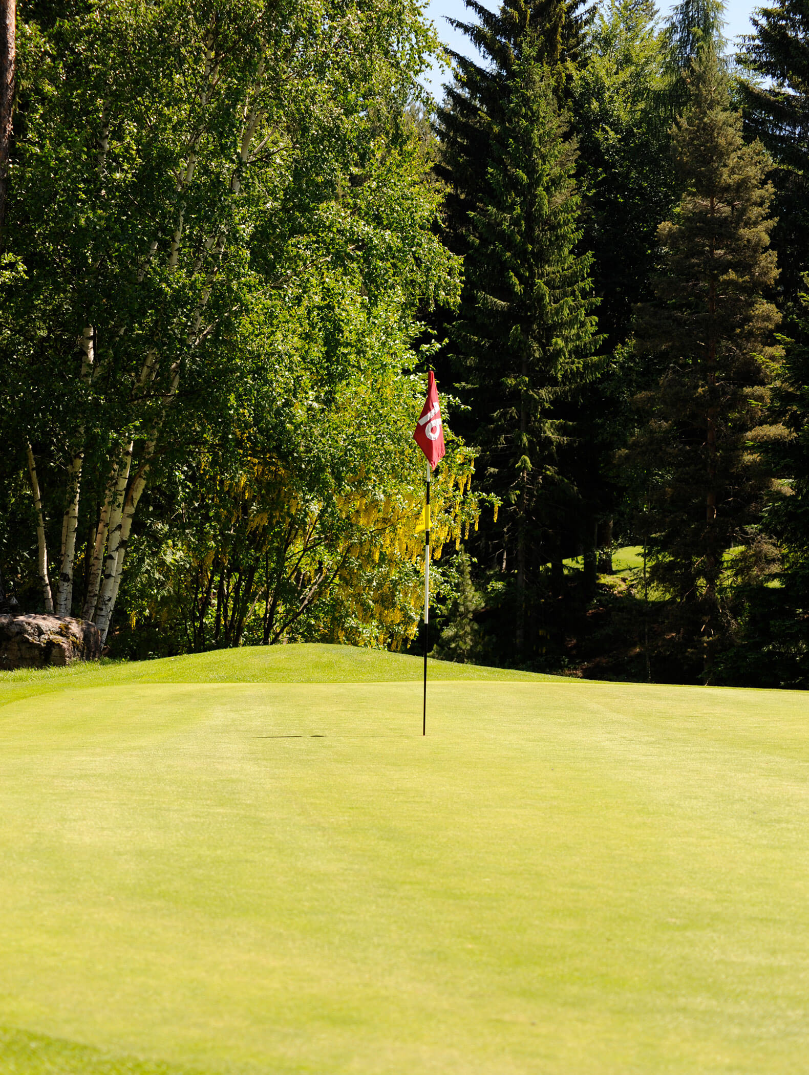 Buca 16 del campo da golf nelle Dolomiti - Vitalhotel Erica